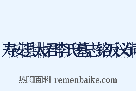 寿安县太君李氏墓志铭反义词是什么意思的图片